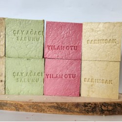 KENTEN MARKASININ OT GRUBU KARIŞIK 8 Lİ